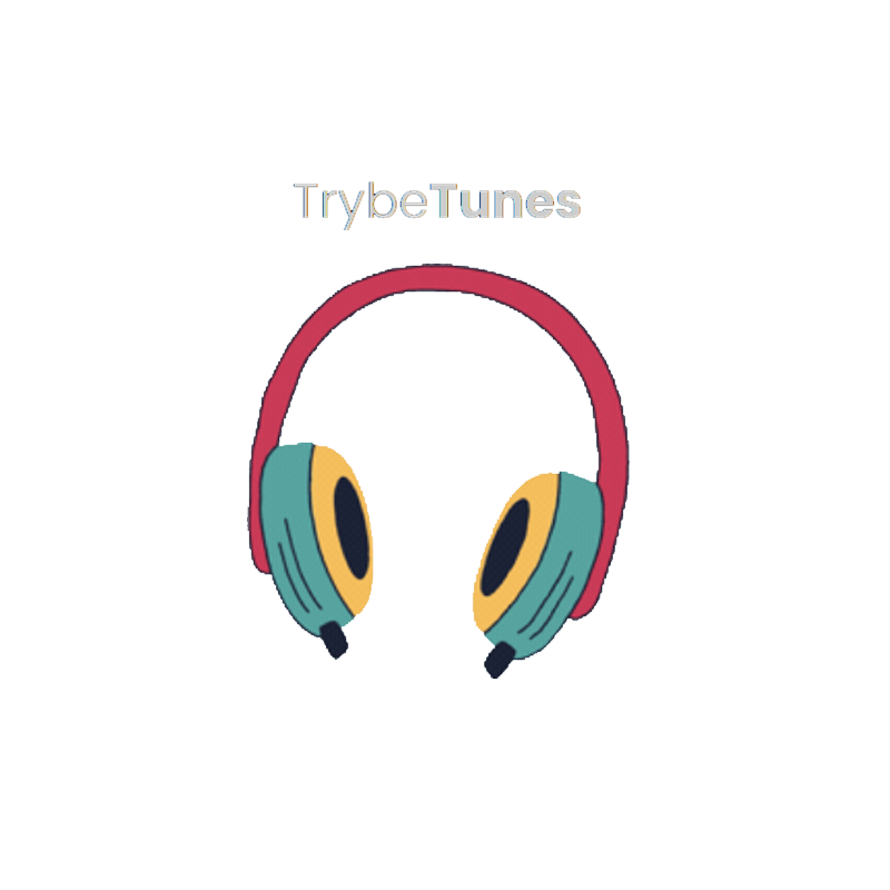 Trybe Tunes music search